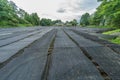 Wasabi plantation shelter field at Daio Wasabi Farm. Ã¥Â¤Â§Ã§Å½â¹Ã£âÂÃ£Ââ¢Ã£ÂÂ³Ã¨Â¾Â²Ã¥Â Â´ Royalty Free Stock Photo